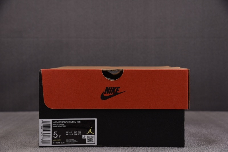 Air Jordan 12