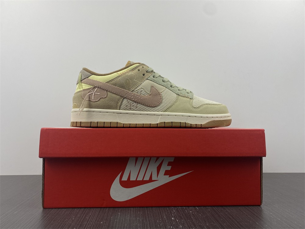 Nike Dunk Low On the Bright Side (W) DQ5076-121