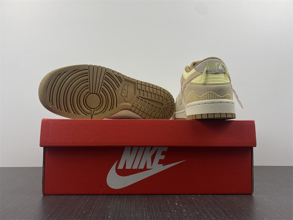 Nike Dunk Low On the Bright Side (W) DQ5076-121