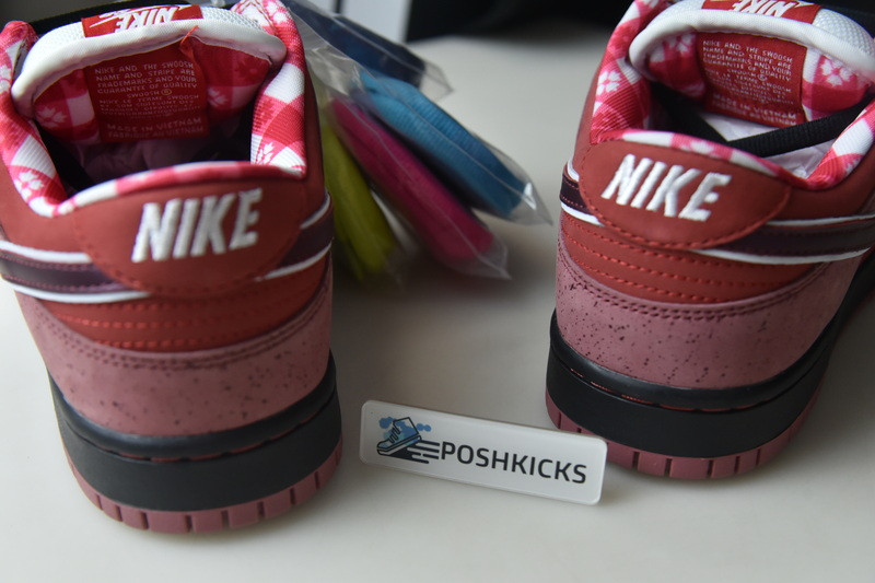 Nike Dunk SB Low Red Lobster 313170-661