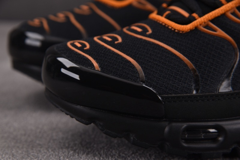 Nike Air Max Plus Dark Obsidian Monarch FN6949-400