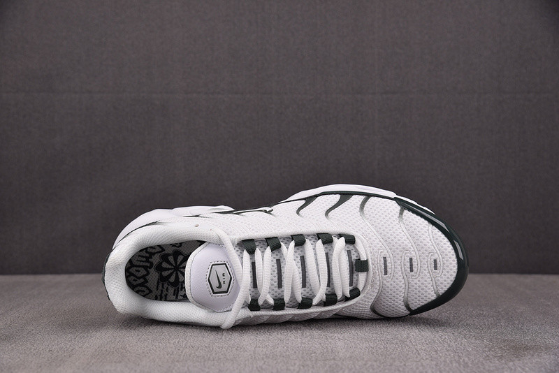 Nike Air Max Plus Premium