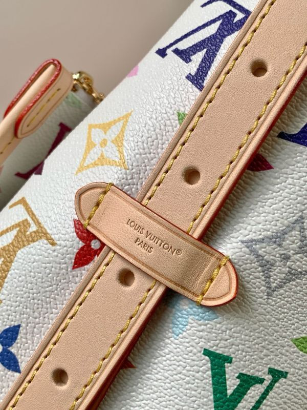 LOUIS VUITTON CARRYALL