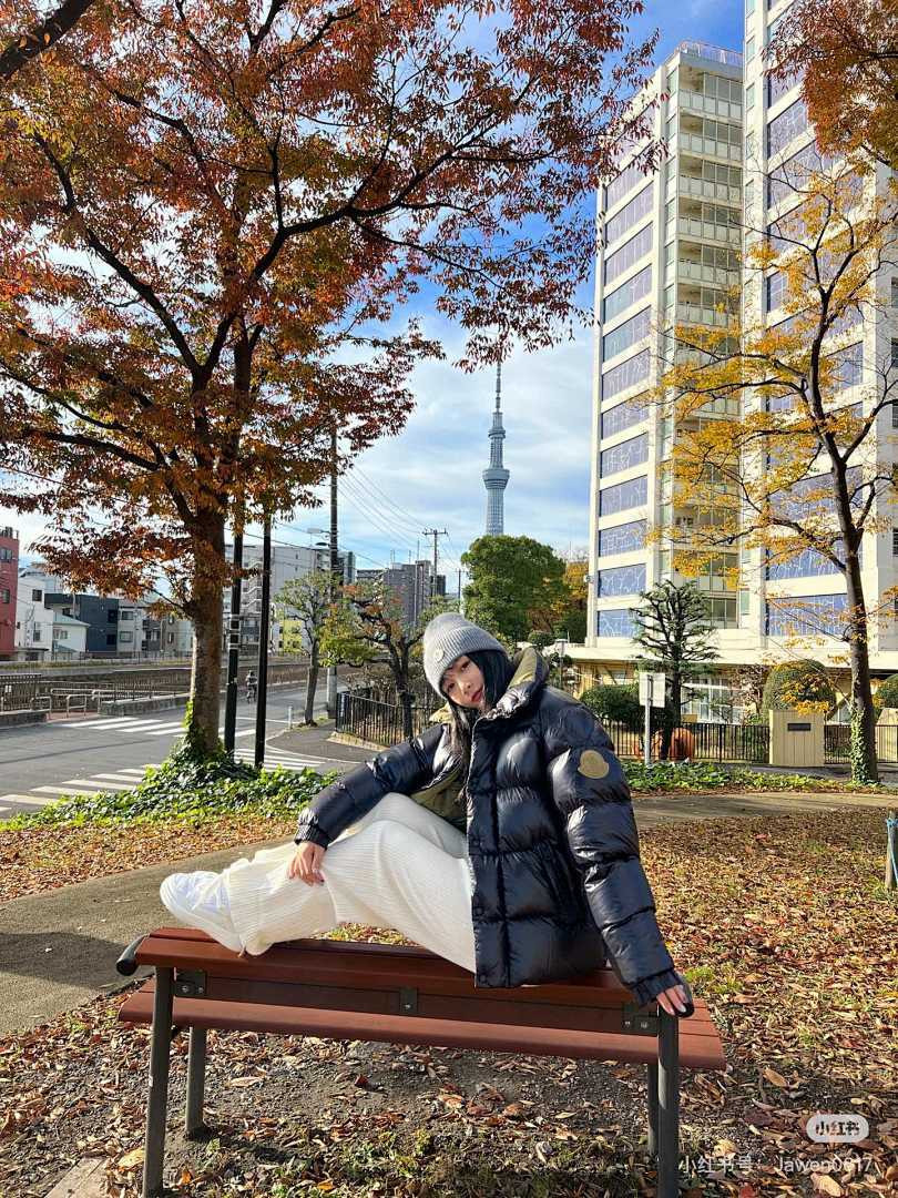 Moncler down jacket