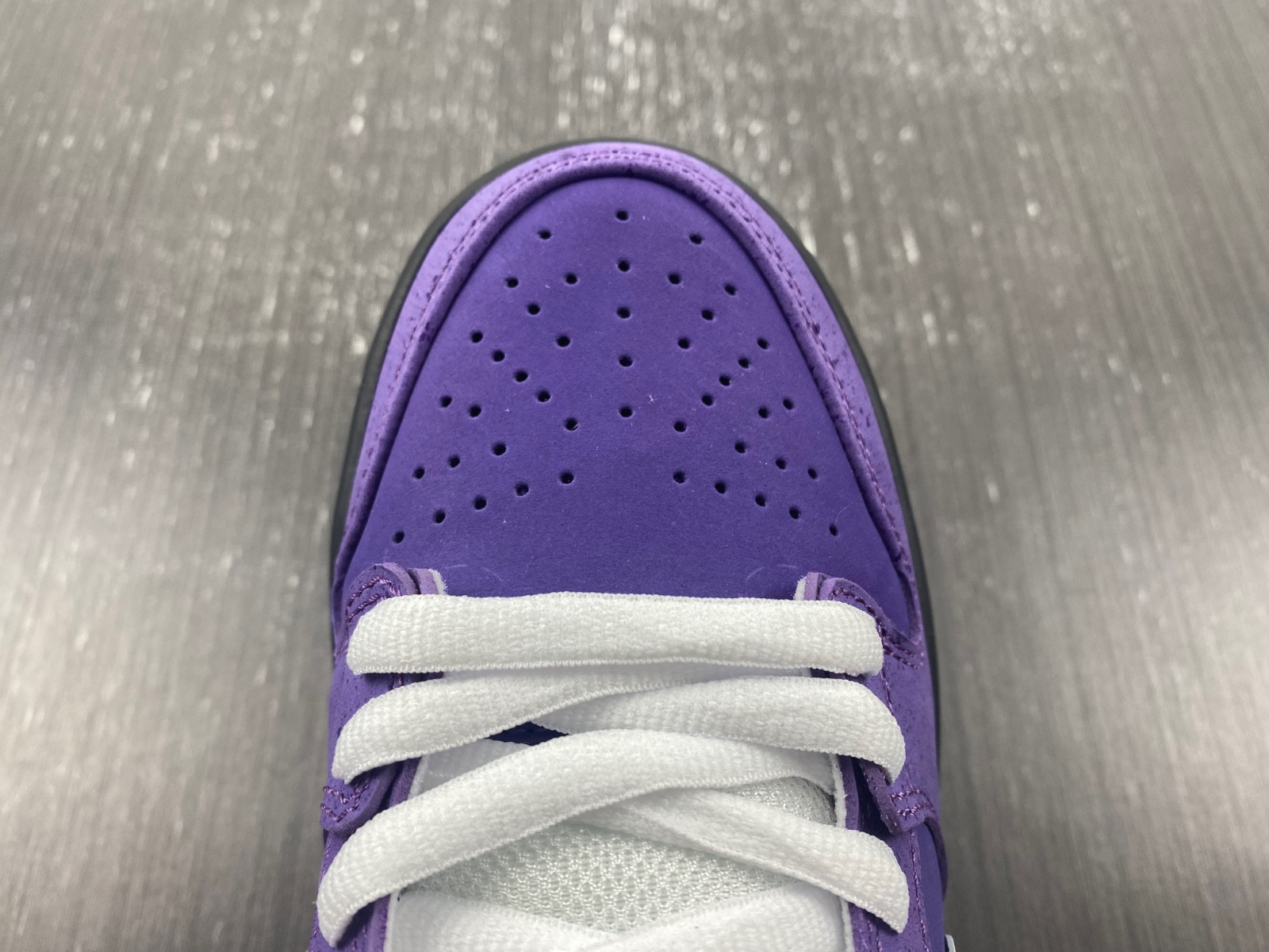 NIKE SB DUNK LOW CONCEPTS PURPLE LOBSTER BV1310-555