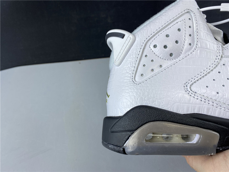 Air Jordan 6 GS Alligator 384665-110