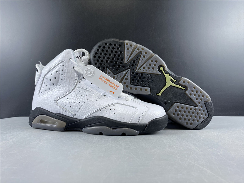 Air Jordan 6 GS Alligator 384665-110